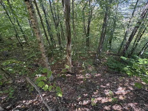 00 Summit Drive Campton NH 03223