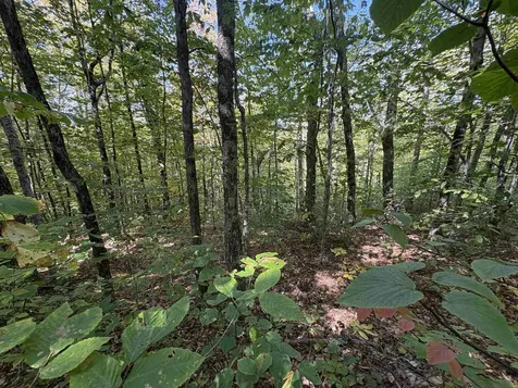 00 Summit Drive Campton NH 03223