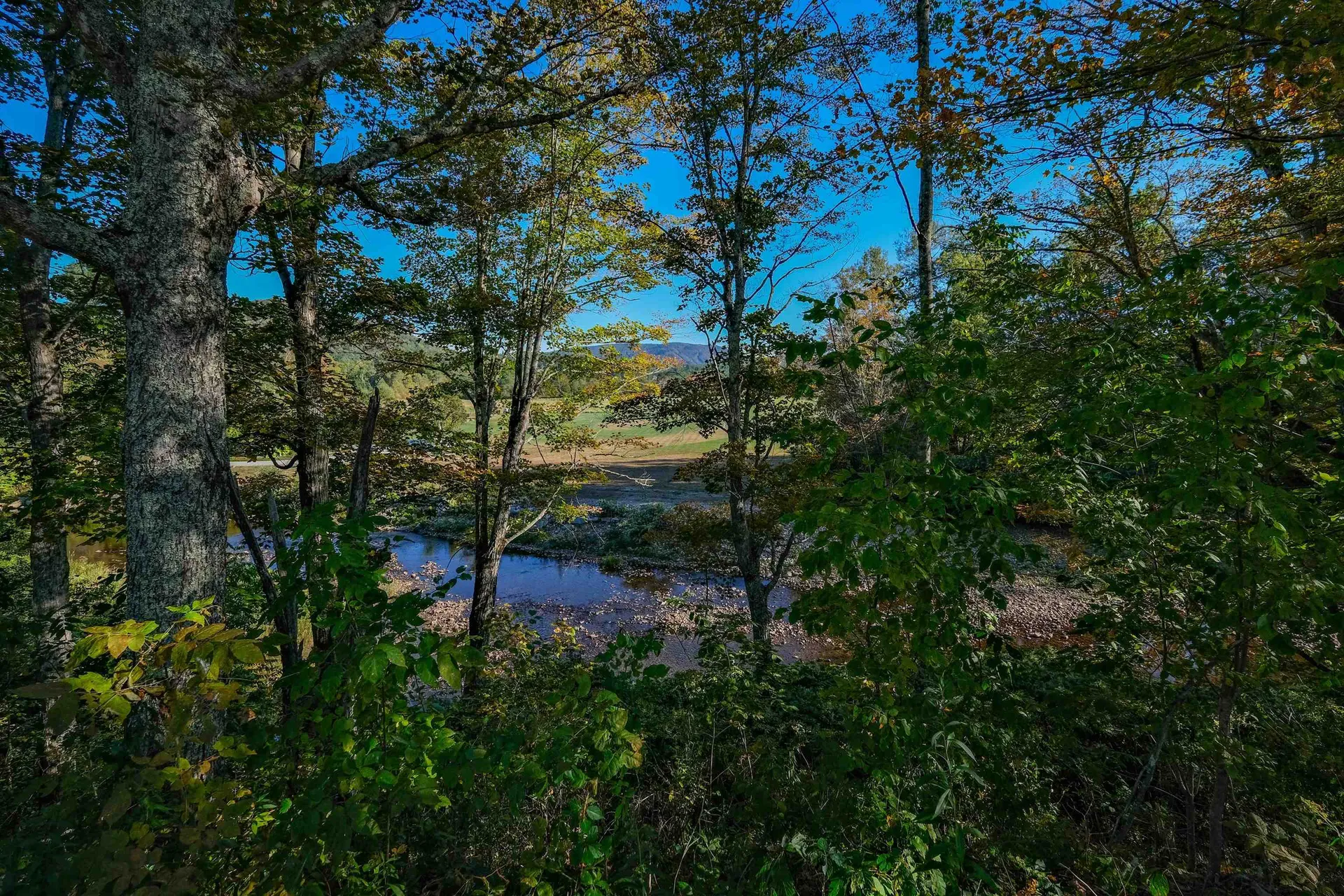 107 Route 100 Weston VT 05161