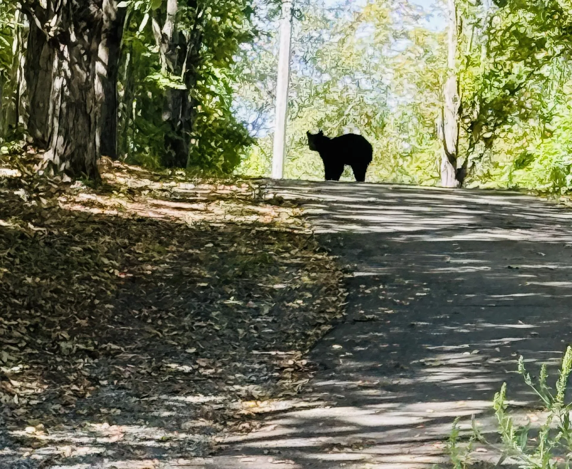 284 Flamstead Road Chester VT 05143