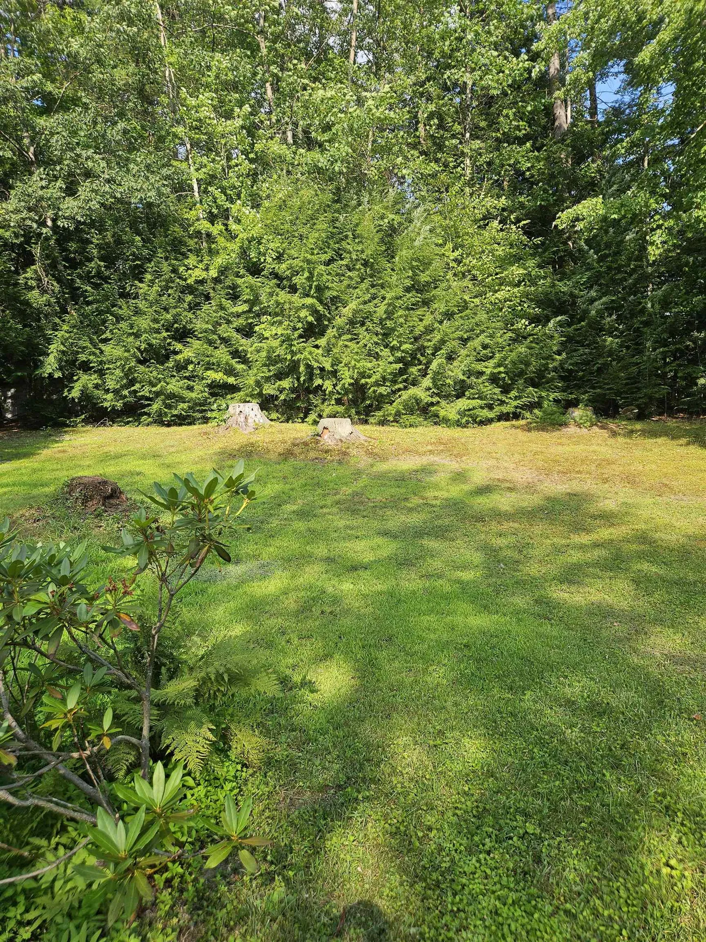 21 Brandon Place Claremont NH 03743