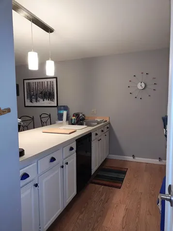 41 Woodbury Drive Bristol NH 03222