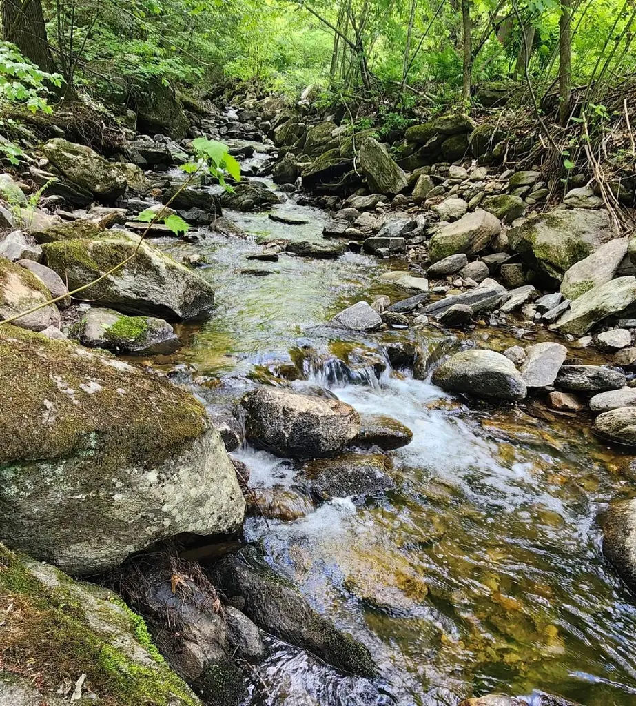 00 Tarbell Hill Road Weathersfield VT 05151