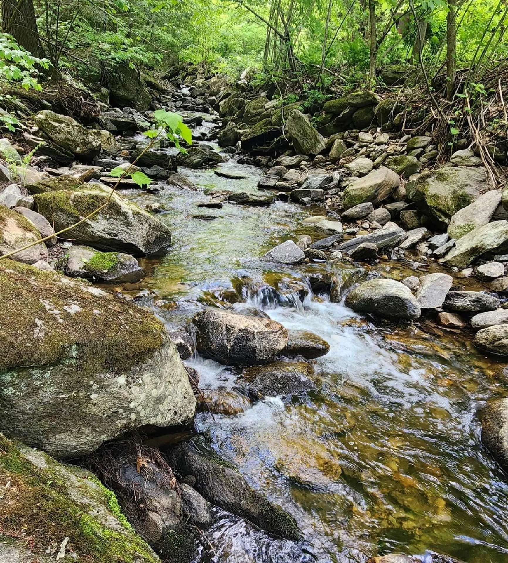 00 Tarbell Hill Road Weathersfield VT 05151