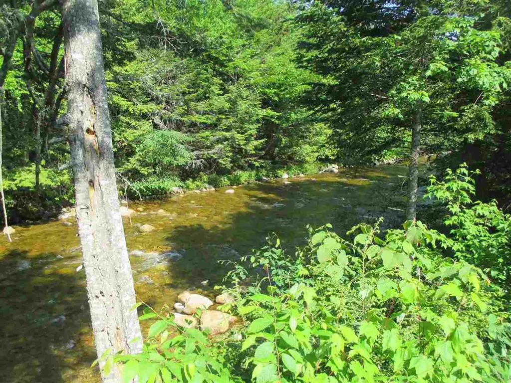 10 Avalanche Way Waterville Valley NH 03215