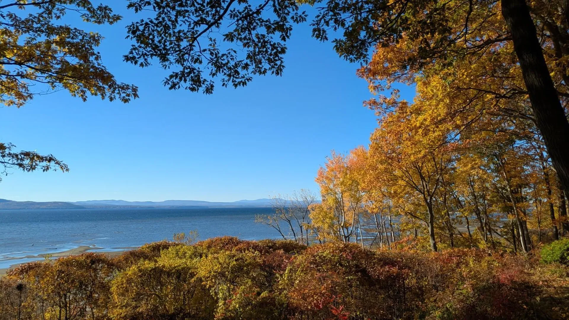 53 Northshore Drive Burlington VT 05408
