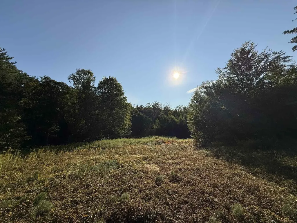 81 Parish Hill Road Newfane VT 05351