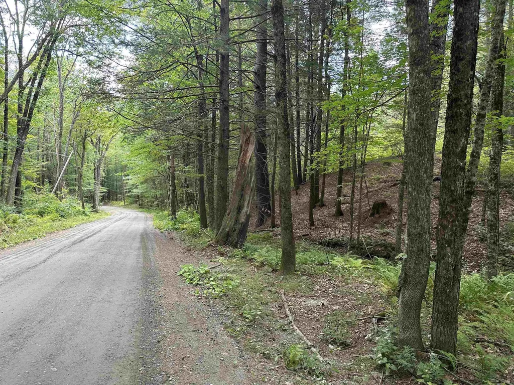 81 Parish Hill Road Newfane VT 05351