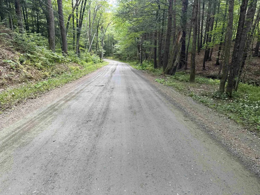 81 Parish Hill Road Newfane VT 05351