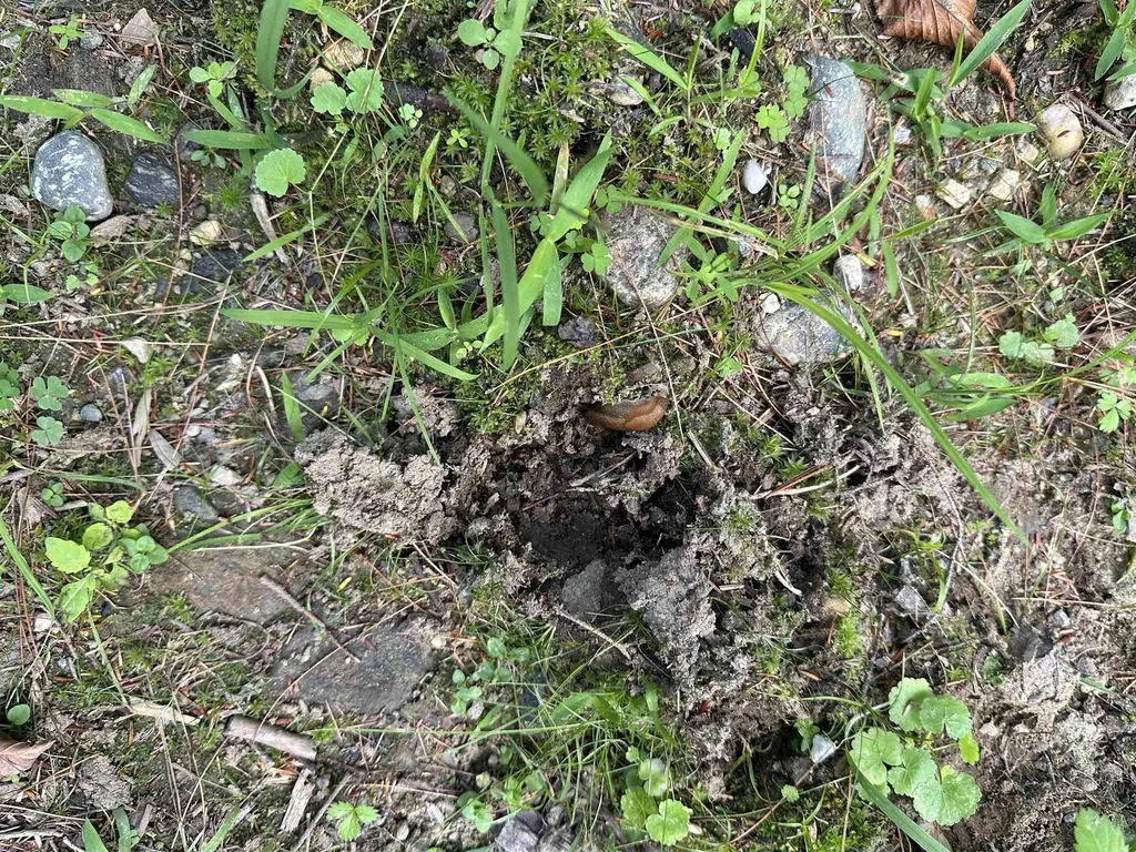 81 Parish Hill Road Newfane VT 05351