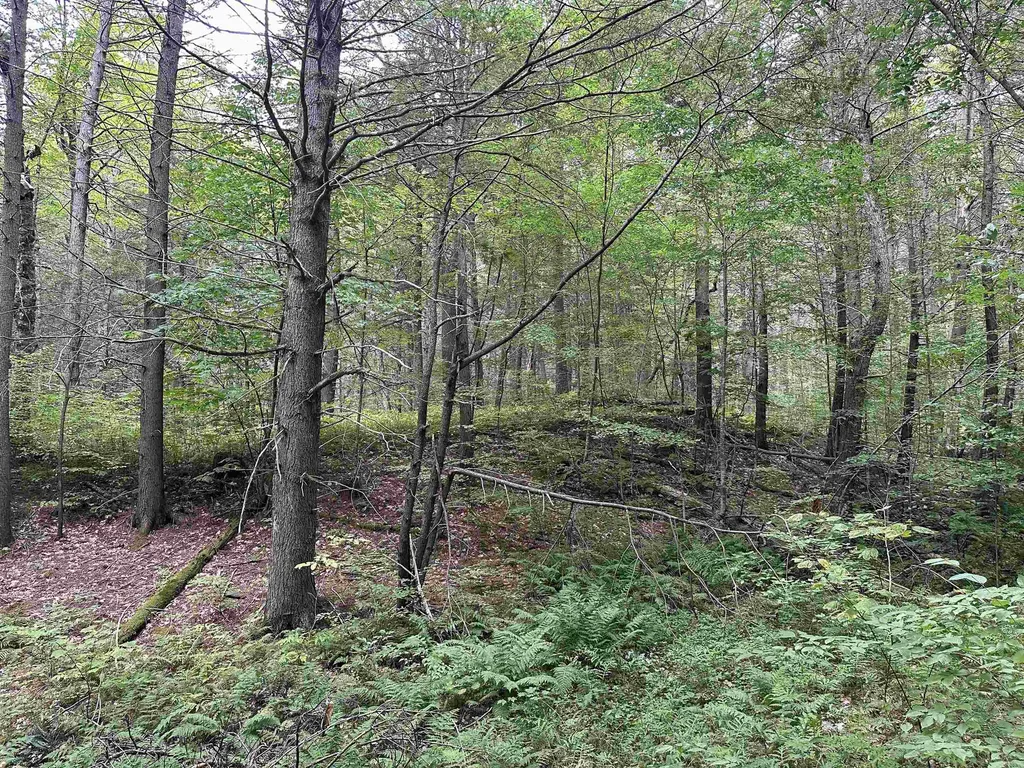 81 Parish Hill Road Newfane VT 05351