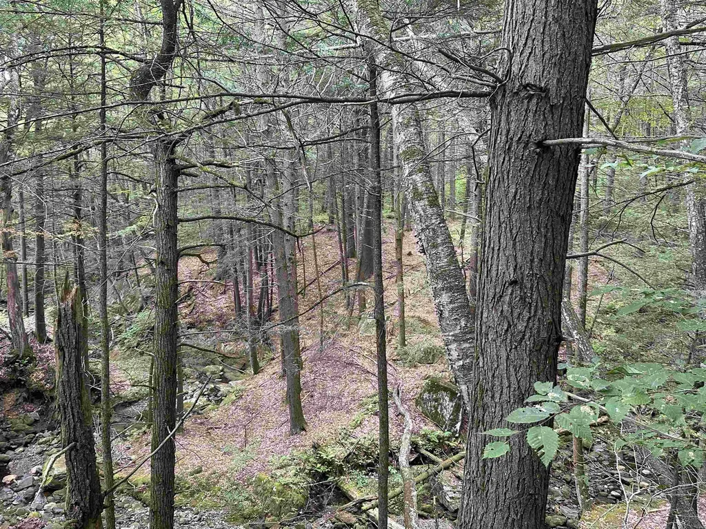 81 Parish Hill Road Newfane VT 05351