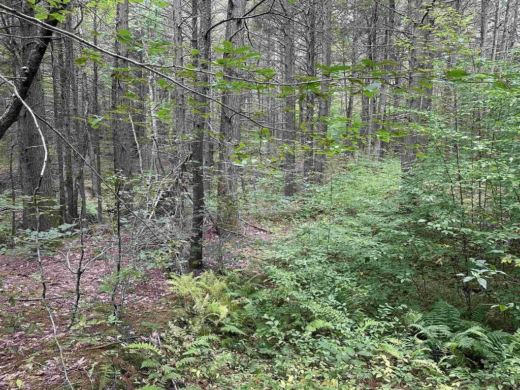 81 Parish Hill Road Newfane VT 05351