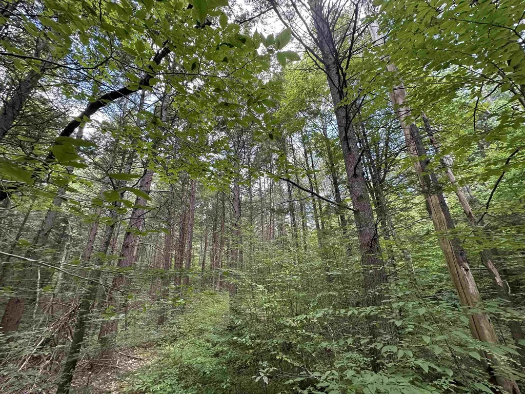 81 Parish Hill Road Newfane VT 05351