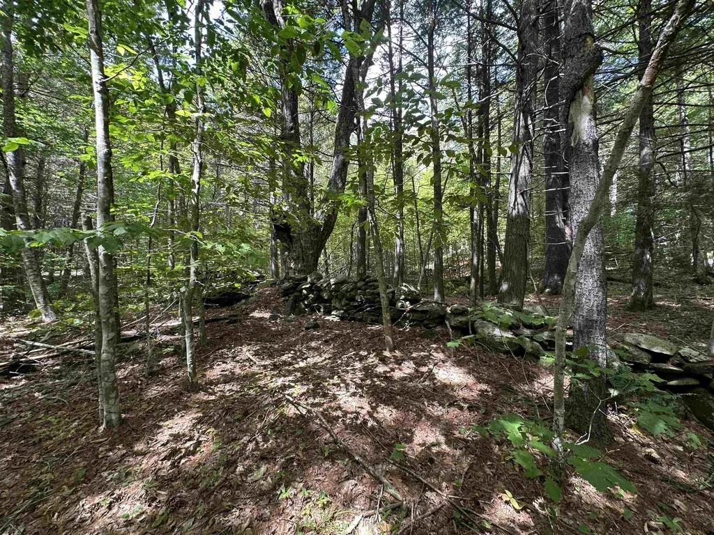 81 Parish Hill Road Newfane VT 05351