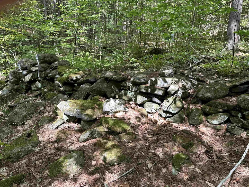 81 Parish Hill Road Newfane VT 05351