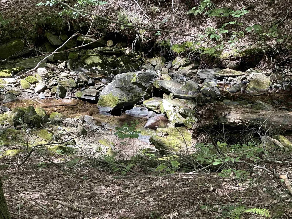 81 Parish Hill Road Newfane VT 05351