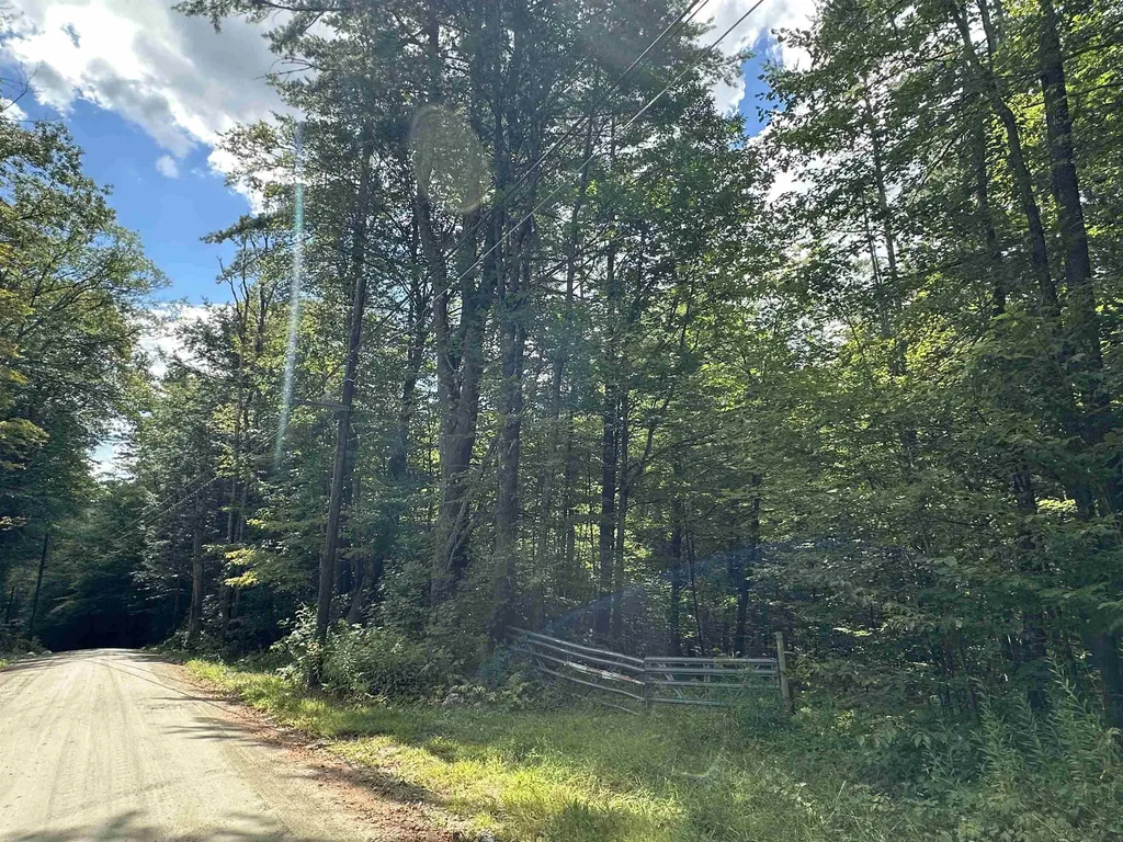 81 Parish Hill Road Newfane VT 05351