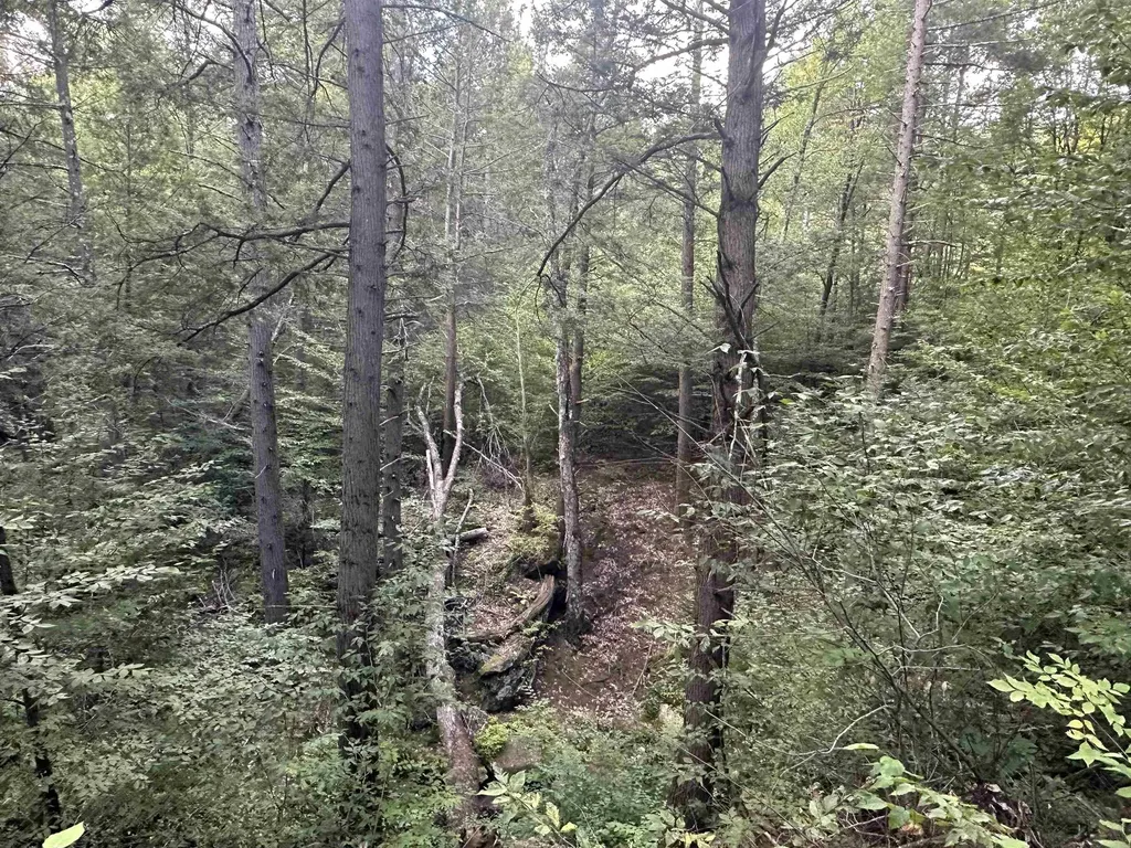 81 Parish Hill Road Newfane VT 05351