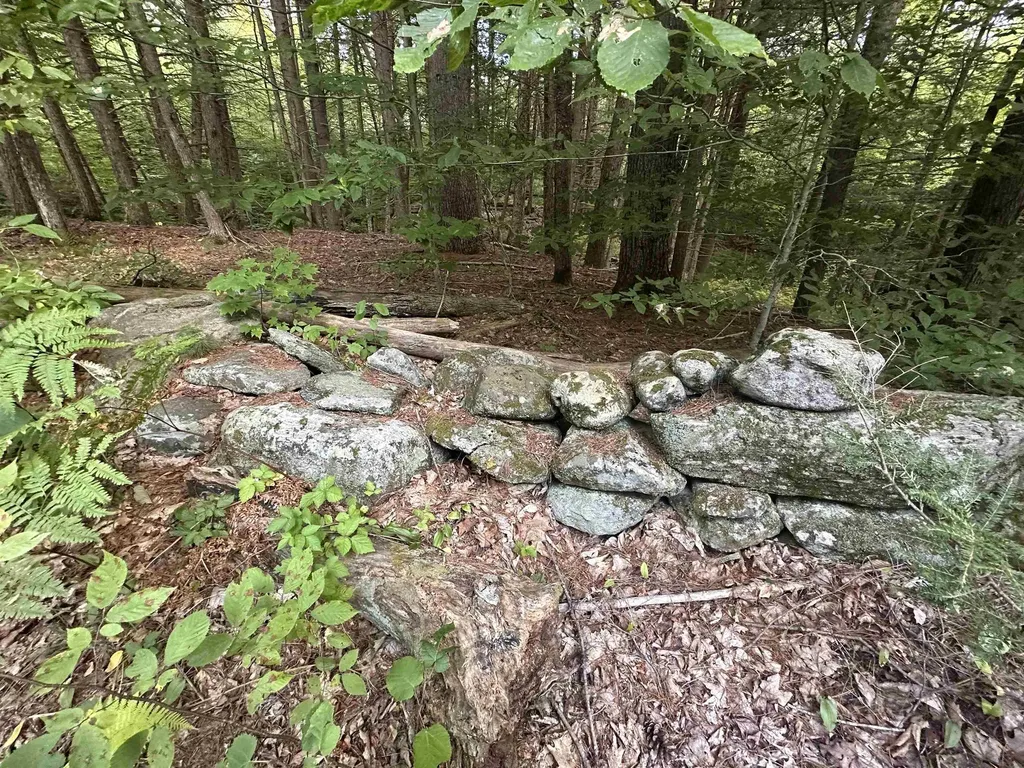 81 Parish Hill Road Newfane VT 05351