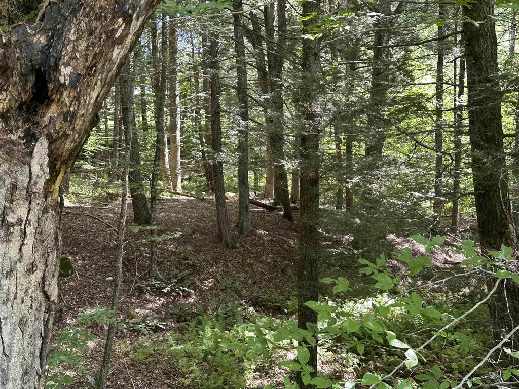 81 Parish Hill Road Newfane VT 05351