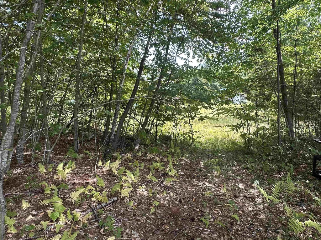 81 Parish Hill Road Newfane VT 05351