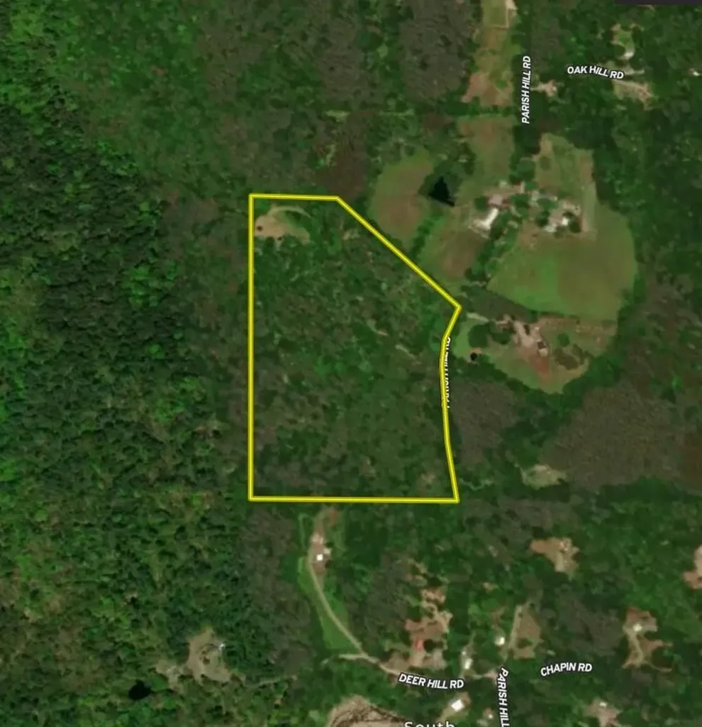 81 Parish Hill Road Newfane VT 05351