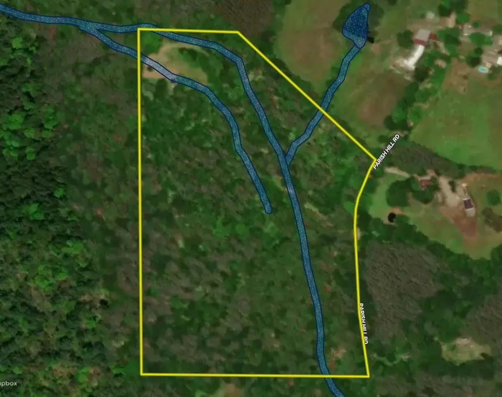 81 Parish Hill Road Newfane VT 05351