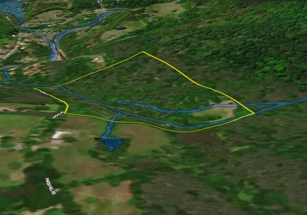 81 Parish Hill Road Newfane VT 05351