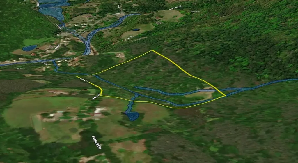 81 Parish Hill Road Newfane VT 05351