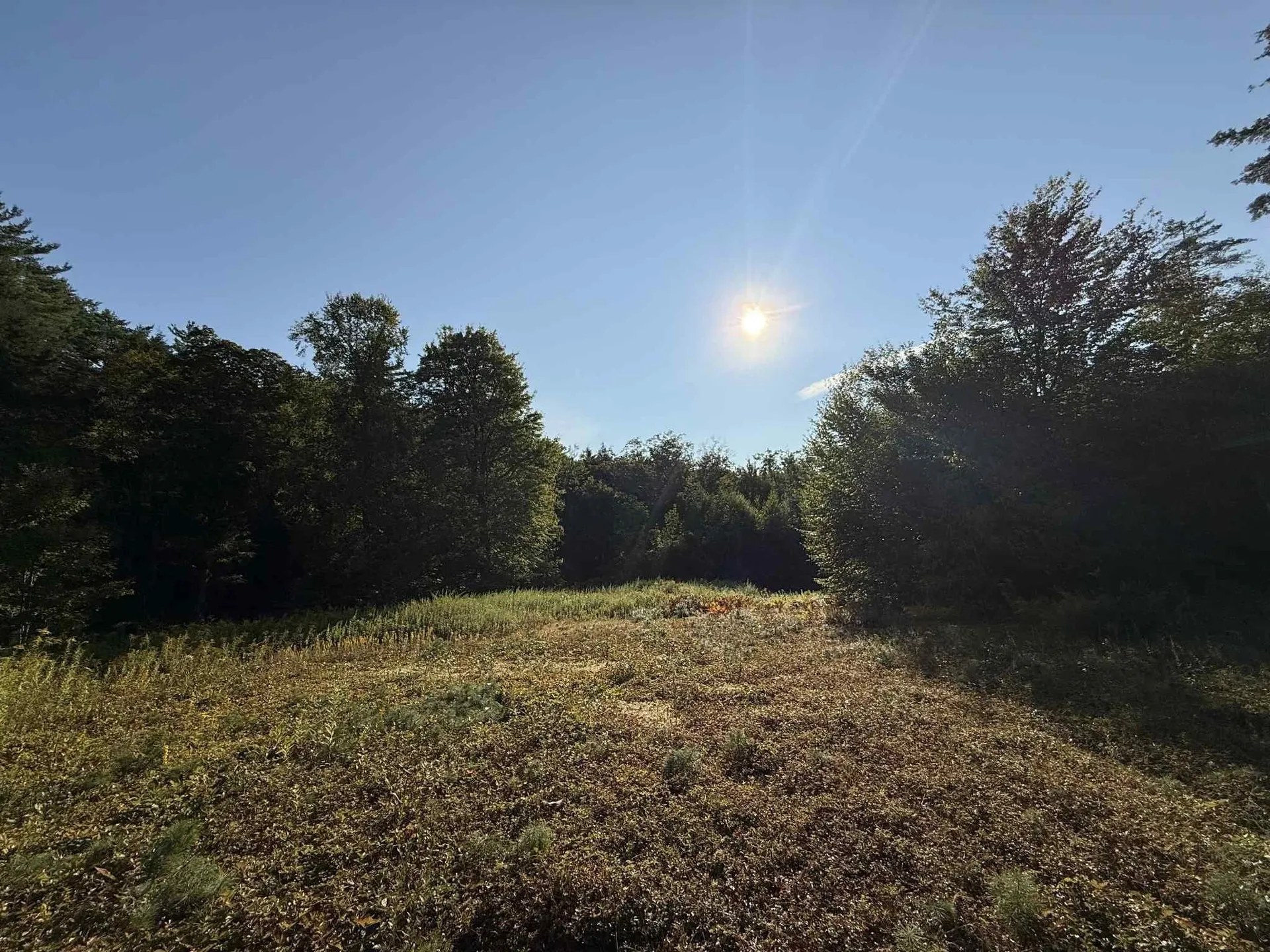 81 Parish Hill Road Newfane VT 05351