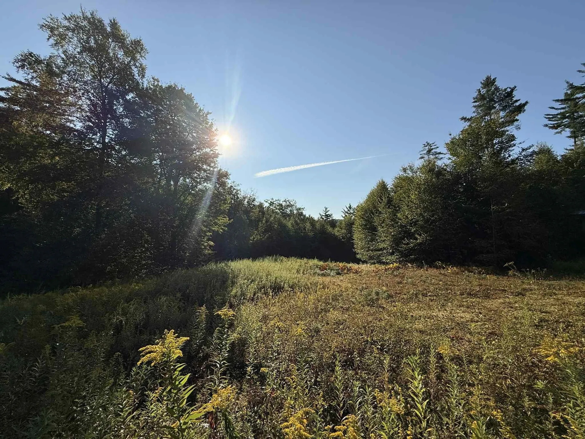 81 Parish Hill Road Newfane VT 05351