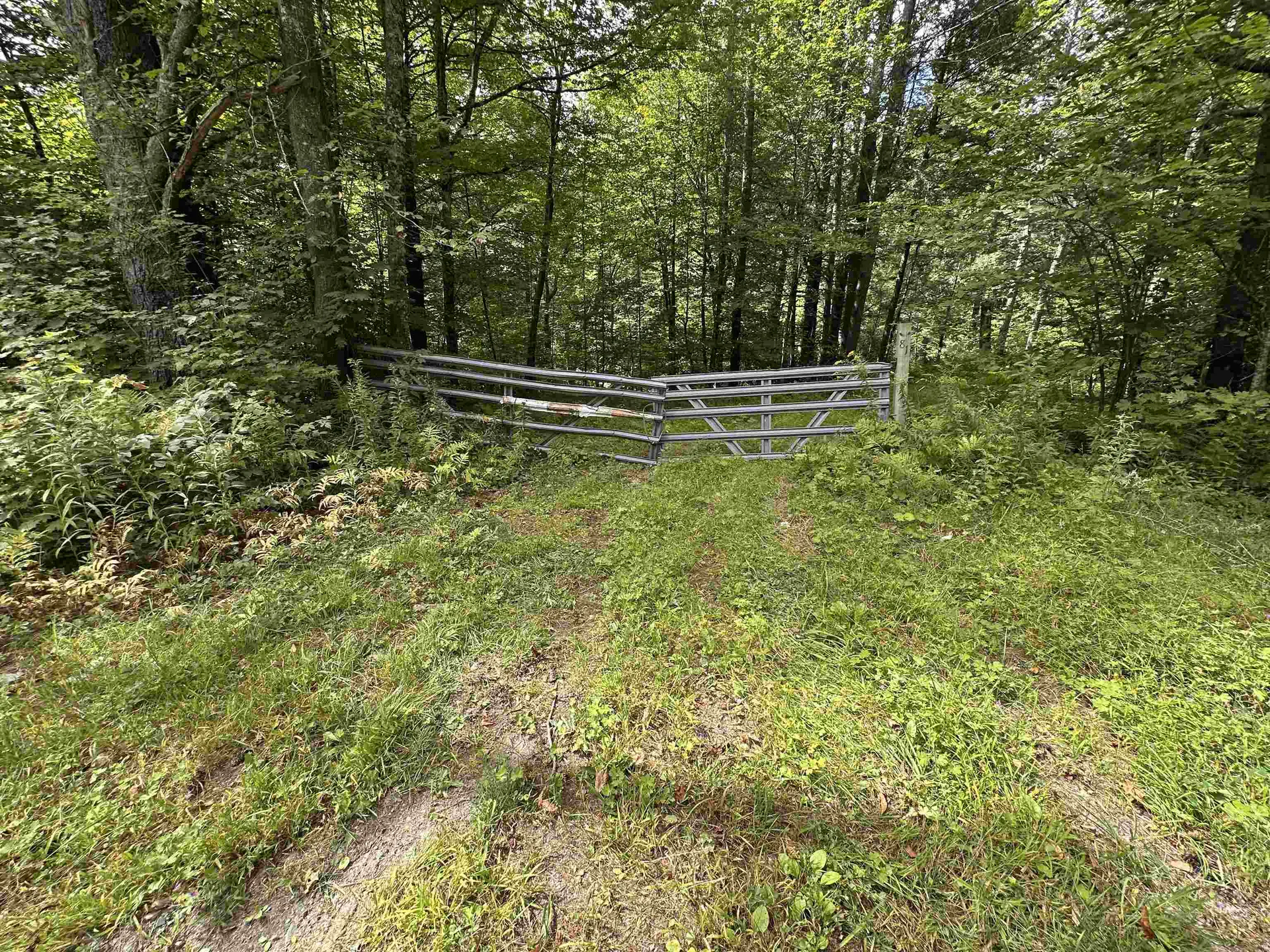 81 Parish Hill Road Newfane VT 05351