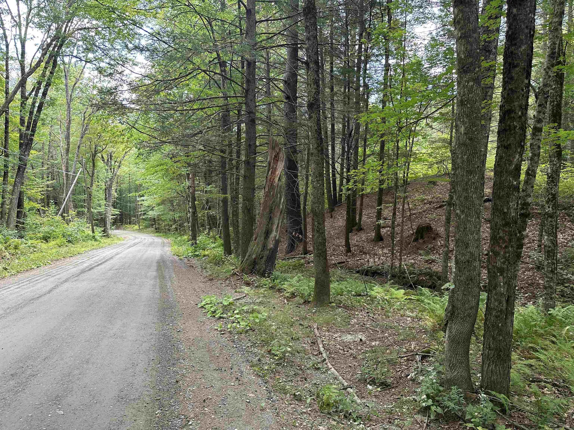 81 Parish Hill Road Newfane VT 05351