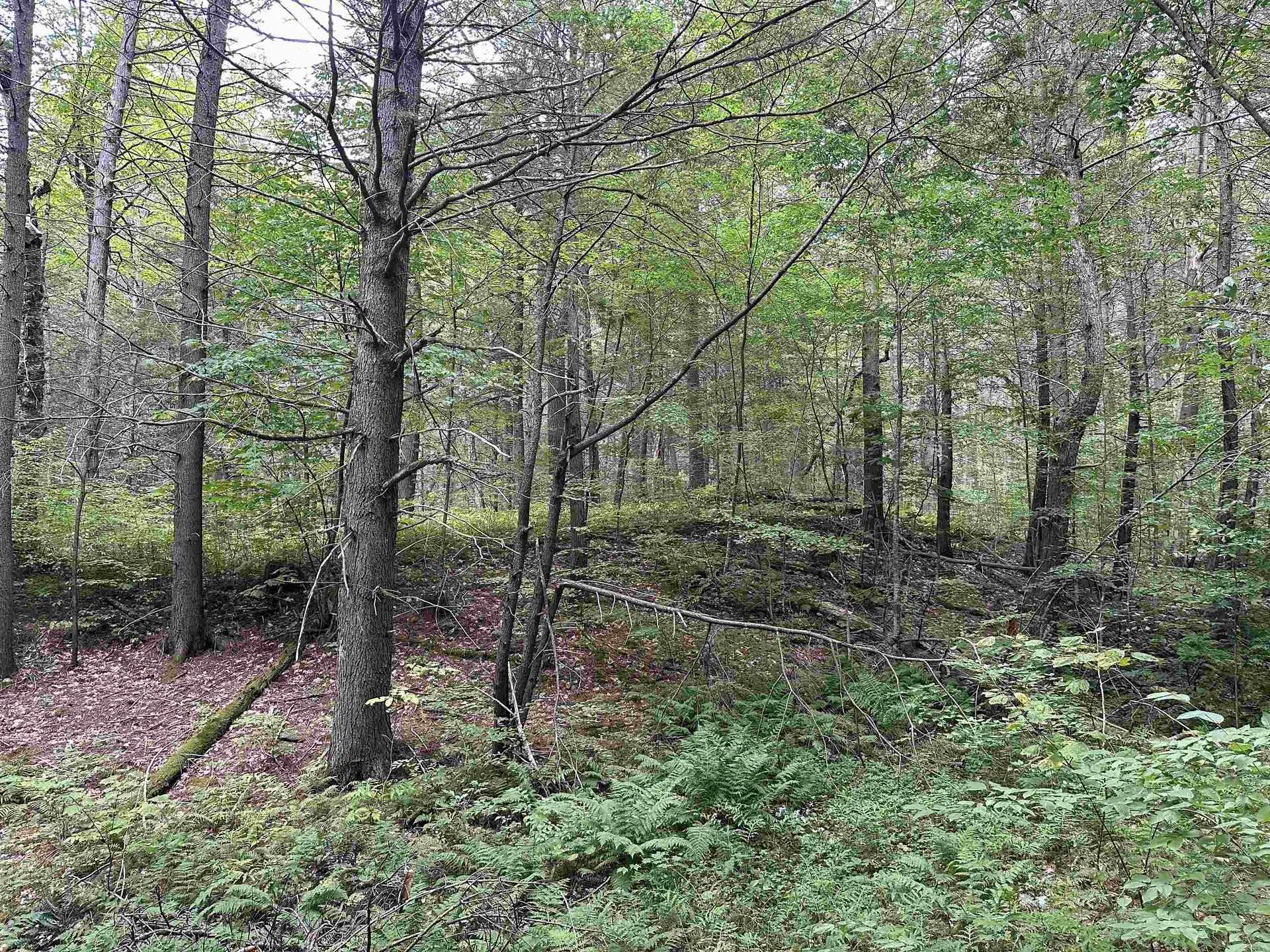 81 Parish Hill Road Newfane VT 05351