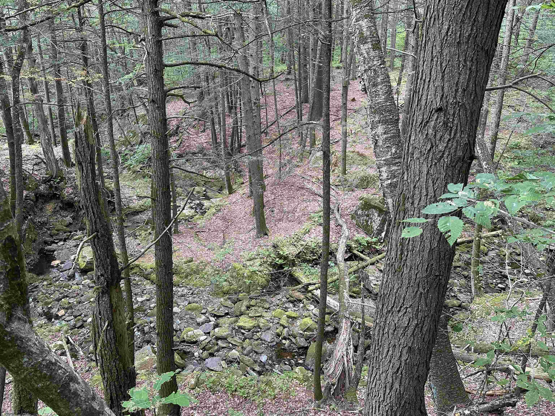 81 Parish Hill Road Newfane VT 05351