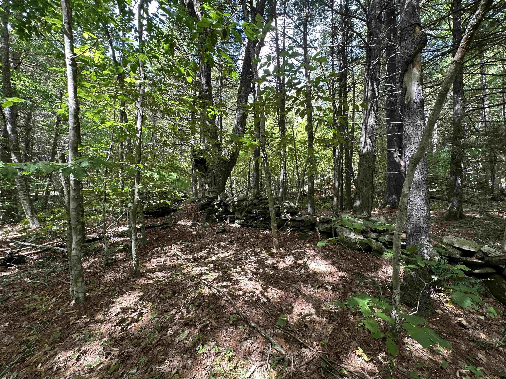 81 Parish Hill Road Newfane VT 05351