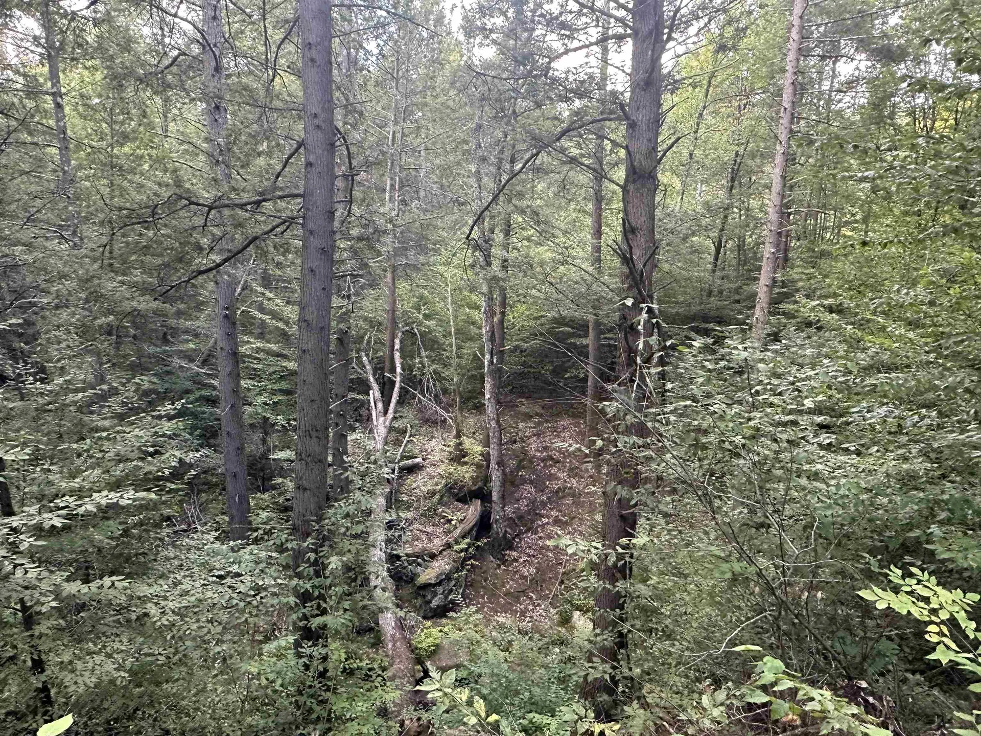 81 Parish Hill Road Newfane VT 05351