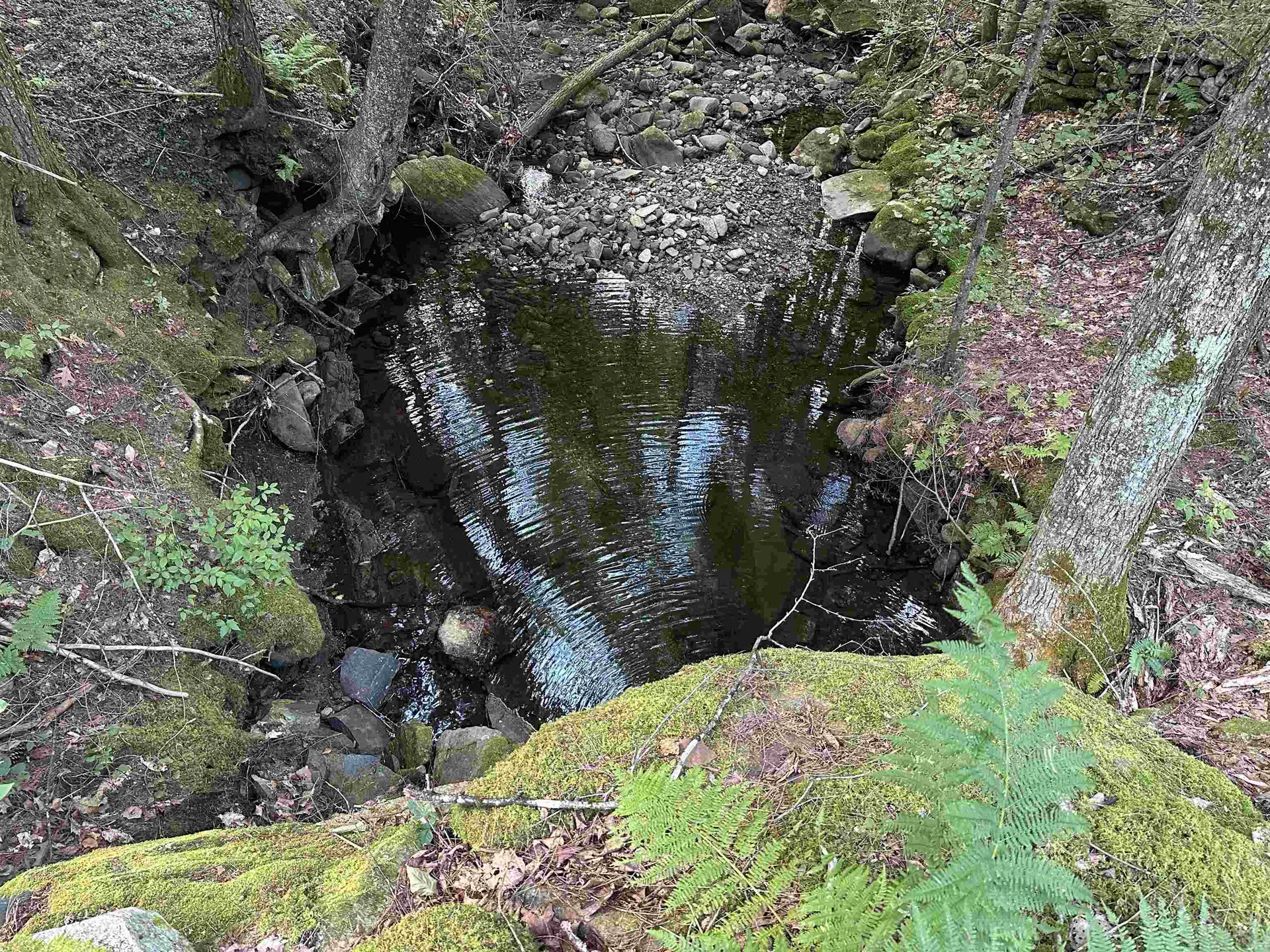 81 Parish Hill Road Newfane VT 05351