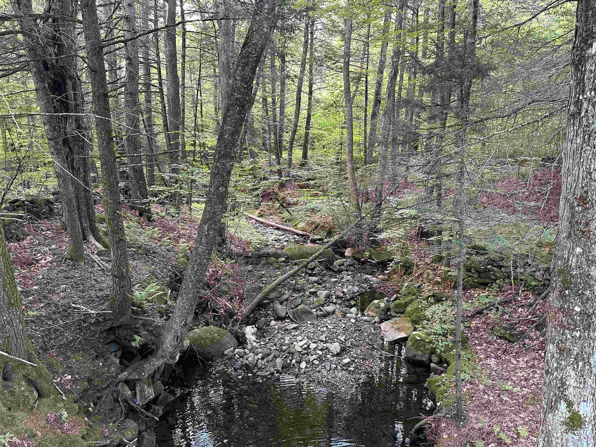 81 Parish Hill Road Newfane VT 05351