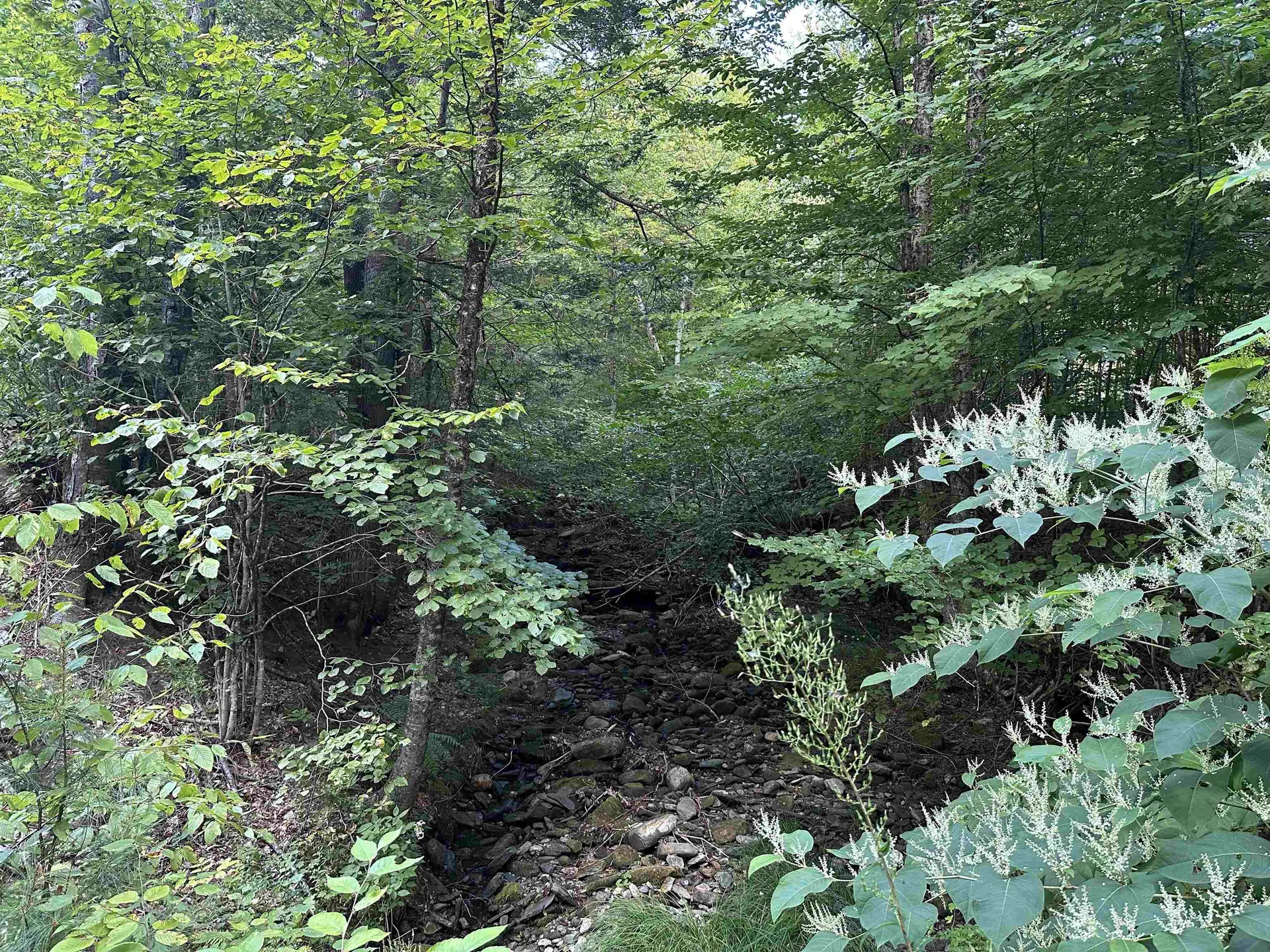 81 Parish Hill Road Newfane VT 05351