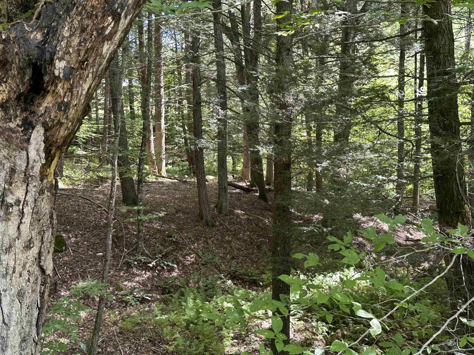 81 Parish Hill Road Newfane VT 05351