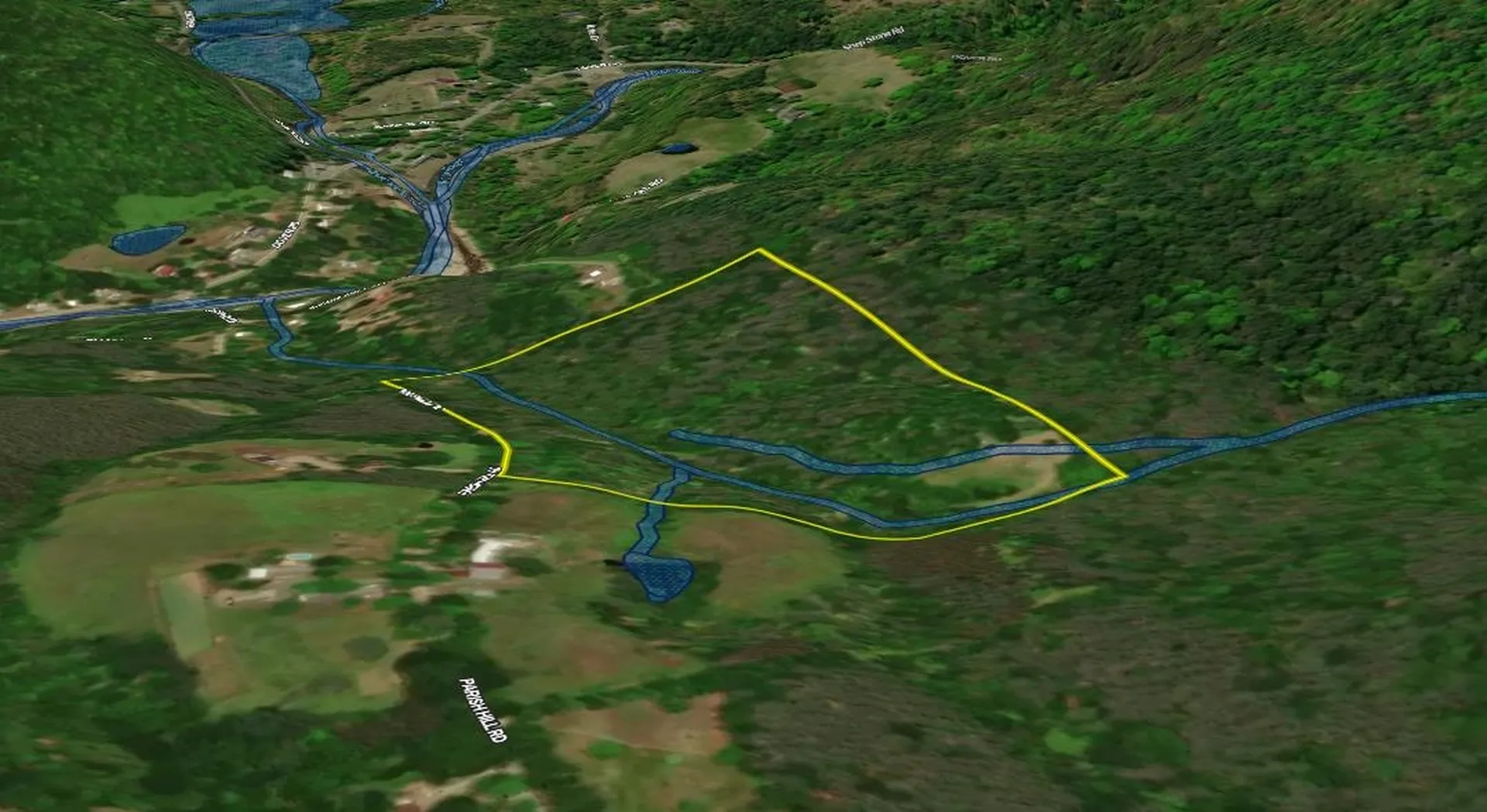 81 Parish Hill Road Newfane VT 05351