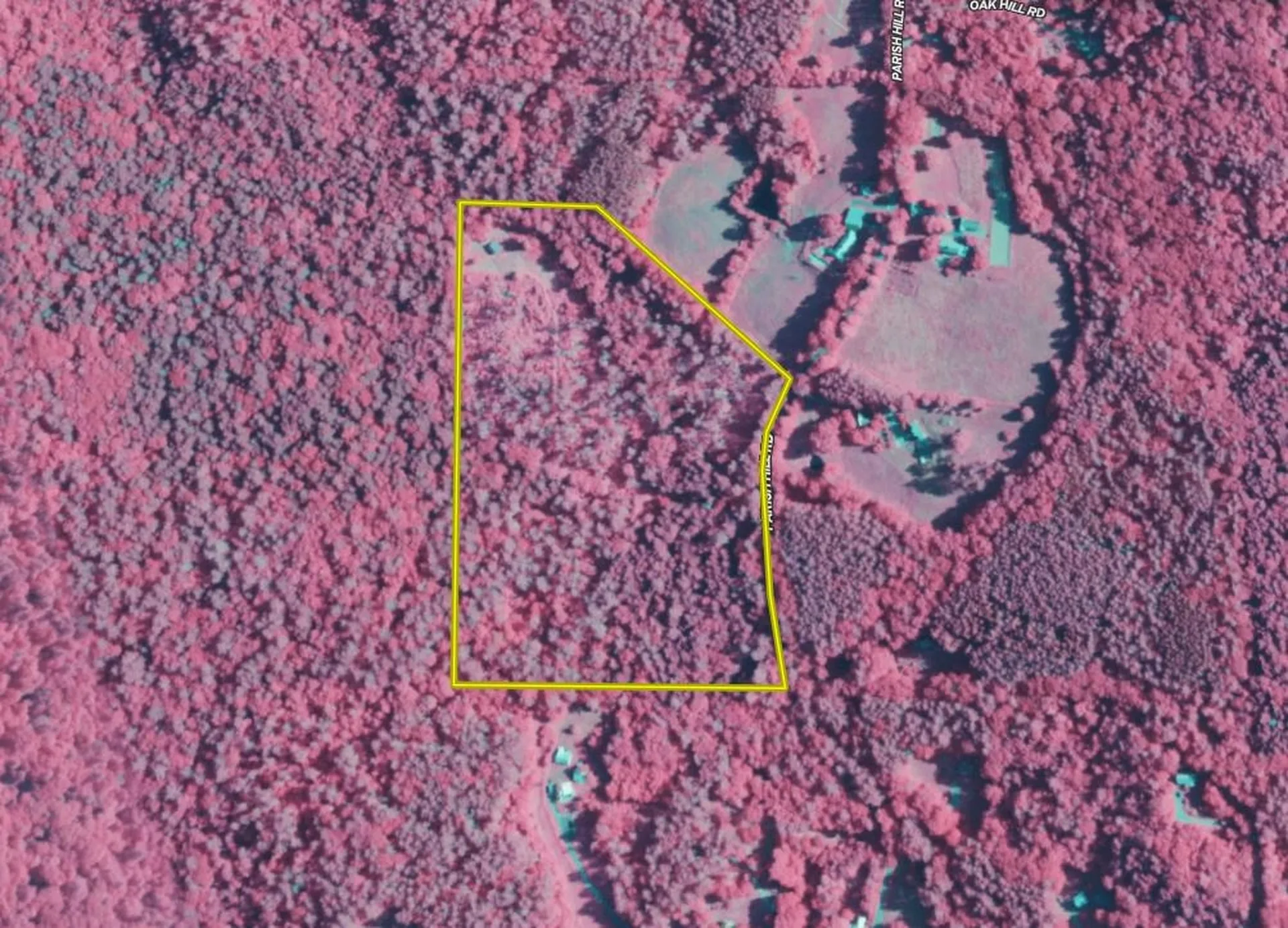 81 Parish Hill Road Newfane VT 05351