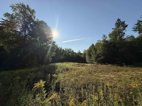 81 Parish Hill Road Newfane VT 05351