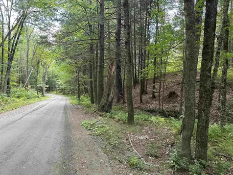 81 Parish Hill Road Newfane VT 05351