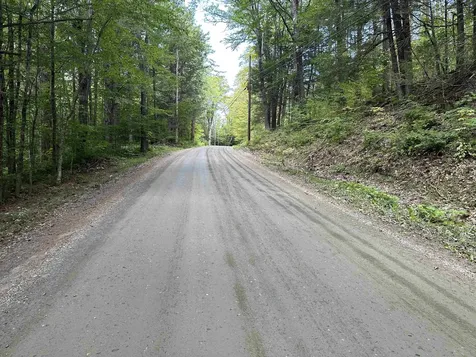 81 Parish Hill Road Newfane VT 05351