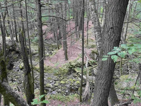 81 Parish Hill Road Newfane VT 05351