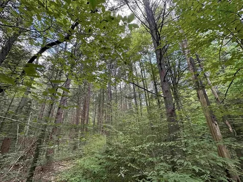 81 Parish Hill Road Newfane VT 05351