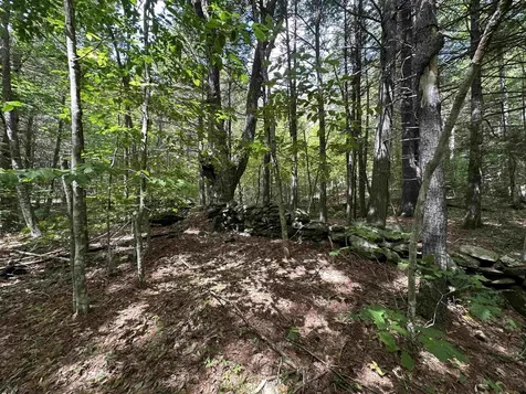 81 Parish Hill Road Newfane VT 05351